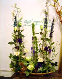 ���������������Ƭ