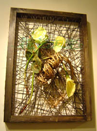 ���������������Ƭ