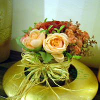 ���������������Ƭ