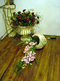 ���������������Ƭ