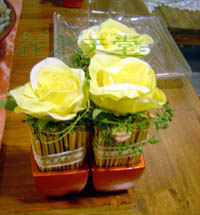 ���������������Ƭ