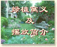 ��ֲ��Ԣ�弰�ڷŹ���