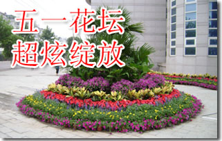 ��һ��̳����