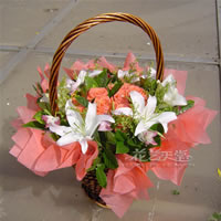 �·�װ�λ���