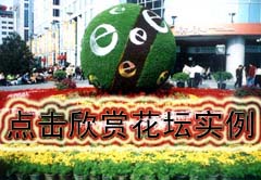 ���ͻ�̳ʵ��ͼƬ