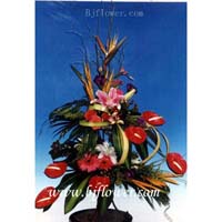 �鿴��ϲף��ȫ������