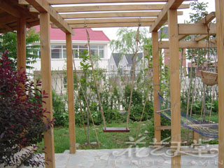 ���Ѽ�-��������