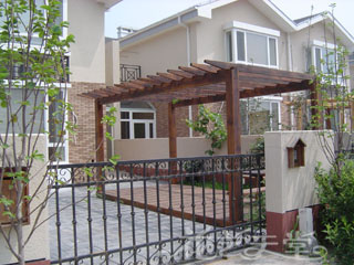 �����������Ѽ�