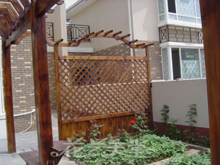 �����������Ѽ�