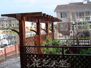 �����������Ѽ�