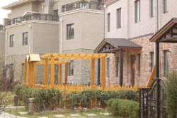 ���Ѽ�-��������