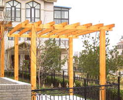 ���Ѽ�-��������