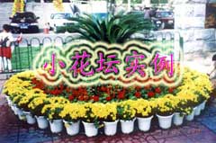 С��̳ʵ��ͼƬ